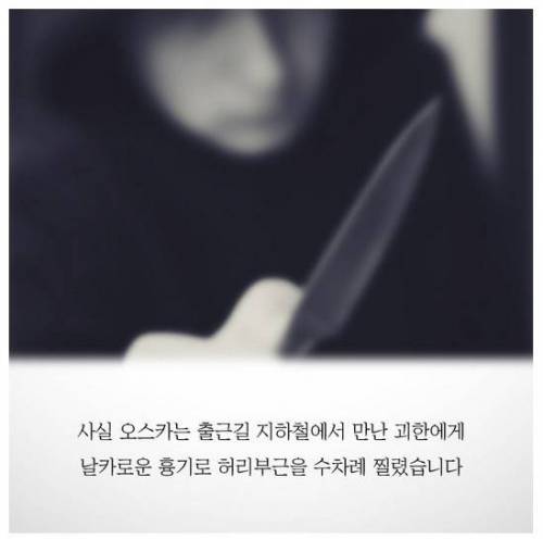 흉기에 찔린 안내견이 끝까지 짖지 않았던 이유