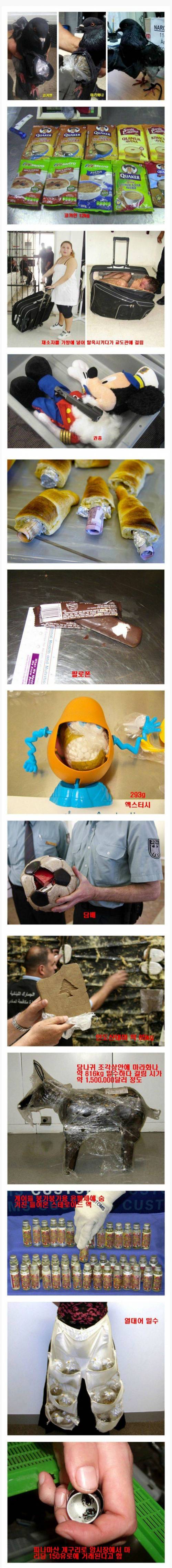 기상천외한 밀수의 세계.jpg
