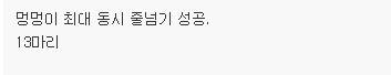 별난 기네스 기록.jpg