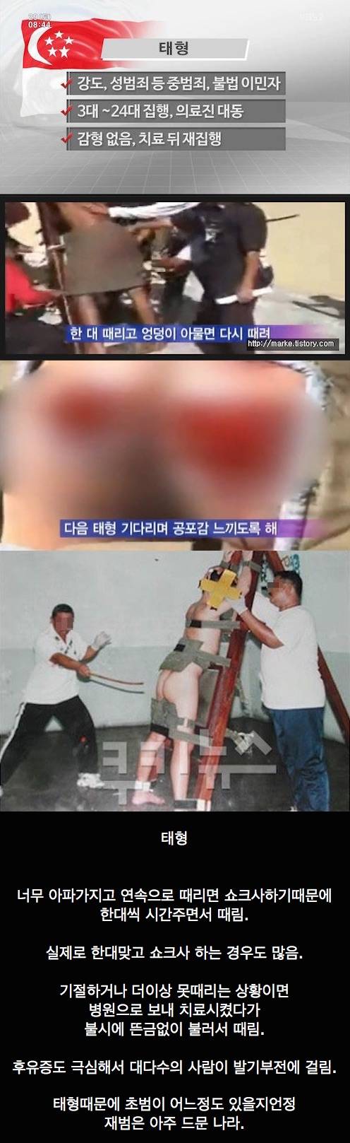 싱가포르의 범죄율이 낮은 이유.jpg