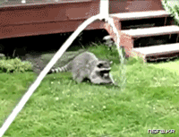 거참 손 좀 씻읍시다.gif