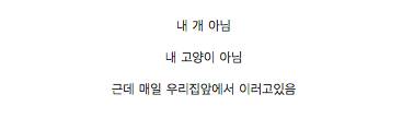 내 고양이 아님.jpg