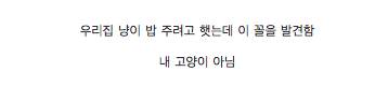내 고양이 아님.jpg