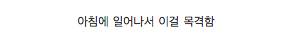 내 고양이 아님.jpg