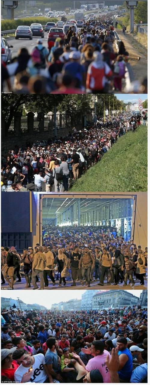 유럽 난민 받는 실제 현장.jpg