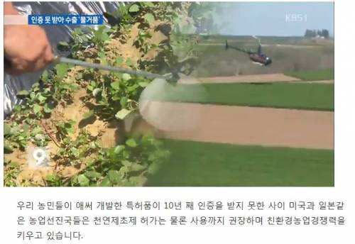 10년째 사장된 친환경 제초제.jpg