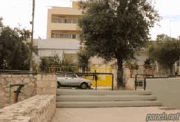 한정판 신발.gif
