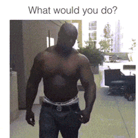 이 상황에서 어느것을 선택하겠습니까?.gif