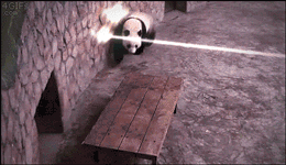 팬더의 총알을 피하는 방법	.gif