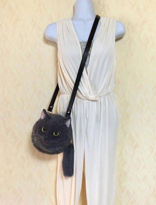 고양이 가방.jpg