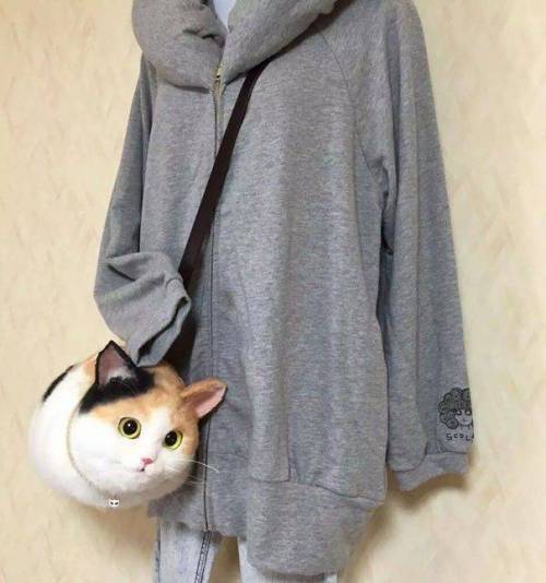 고양이 가방.jpg