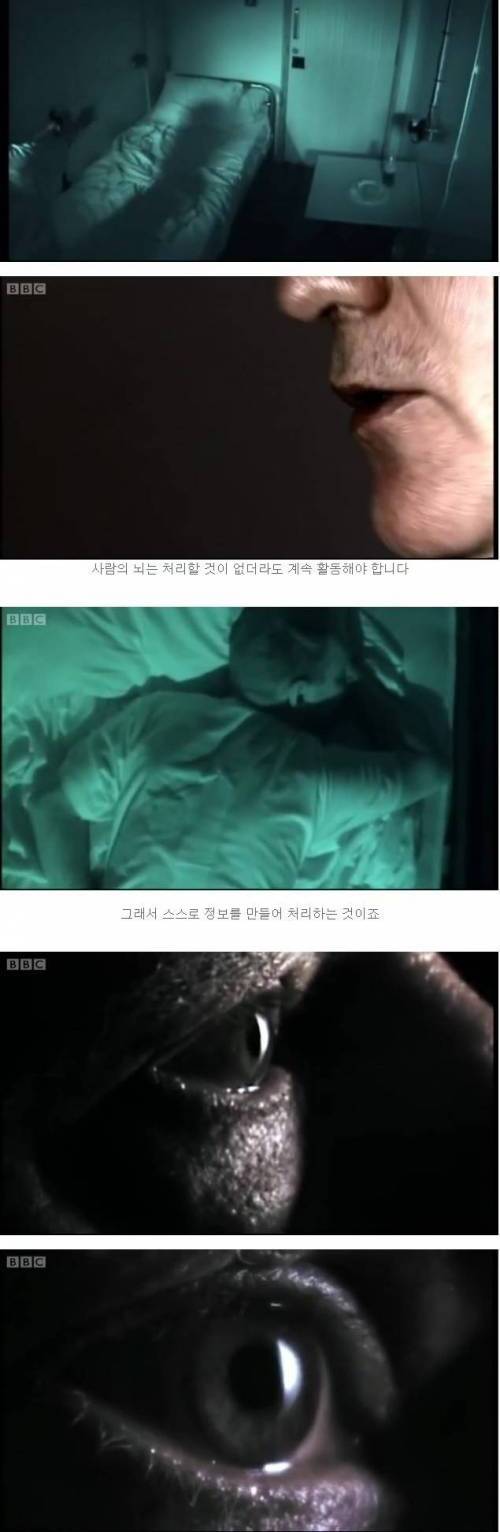 48시간 완전 감금 실험.jpg