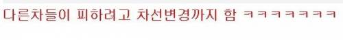 폭스바겐 동호회 근황.jpg