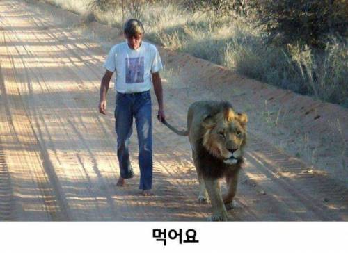 우리 개는 안물어요.jpg