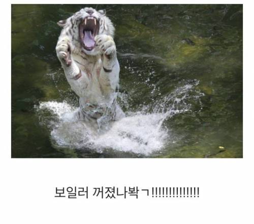 엄마악!!!! 따뜻한 물이 안나와악ㄱㄱ!!!!!!!!!!!!!!!