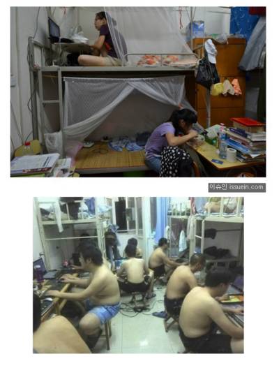 상상을 초월하는 대륙의 기숙사