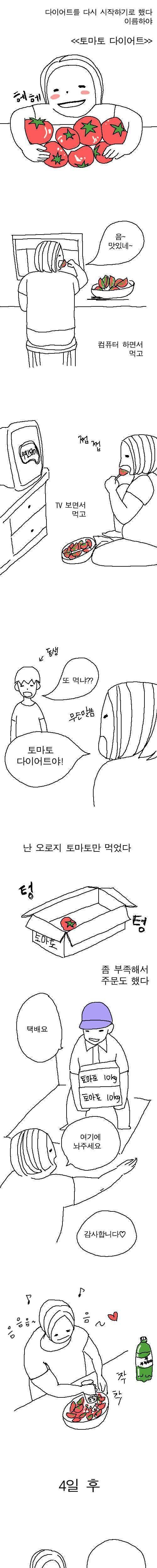 토마토 다이어트를 하는데 살이 안빠진다