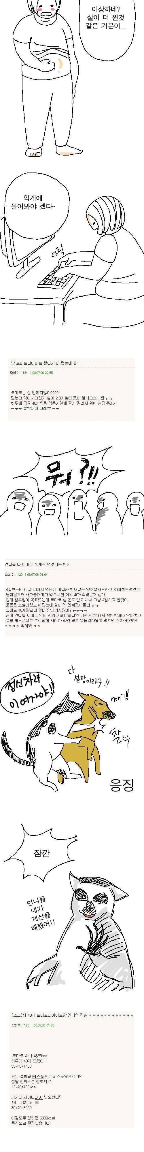 토마토 다이어트를 하는데 살이 안빠진다
