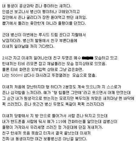 덤 앤 더머 형제.jpg