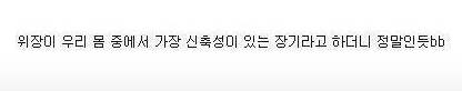 폭식했을때 위장의 상태.jpg