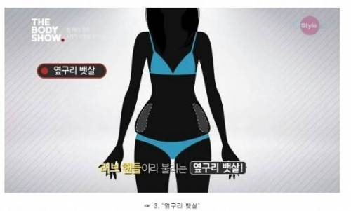 여자들 유형별 뱃살.jpg