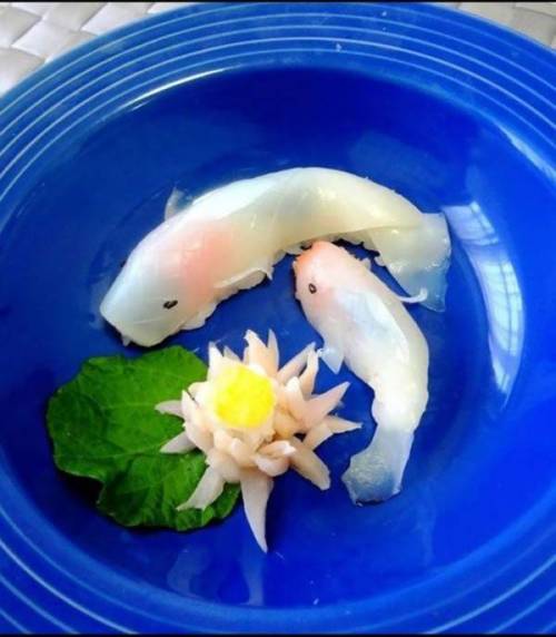 비단잉어 스시.jpg