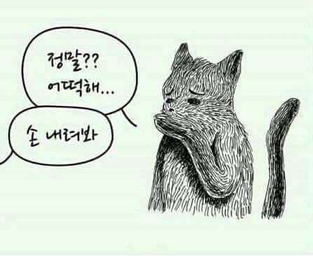 언니 나 헤어졌어..jpg