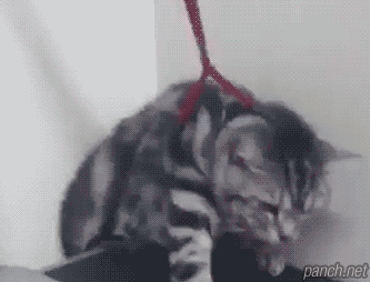 I'll be back.gif