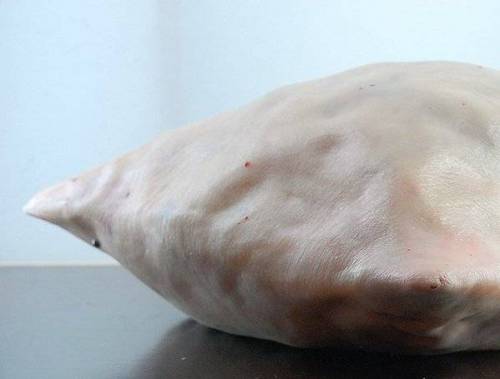 [혐]피부 질감을 생생하게 재현한 쿠션 커버