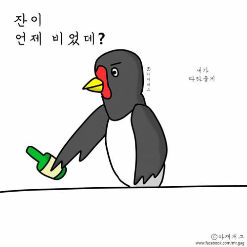 새들이 술마실때.jpg