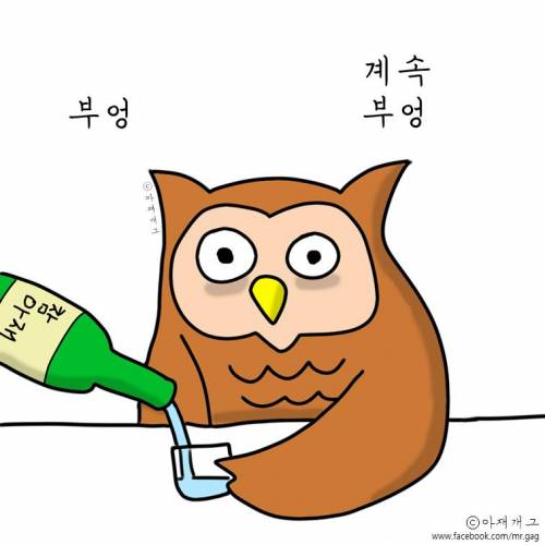 새들이 술마실때.jpg