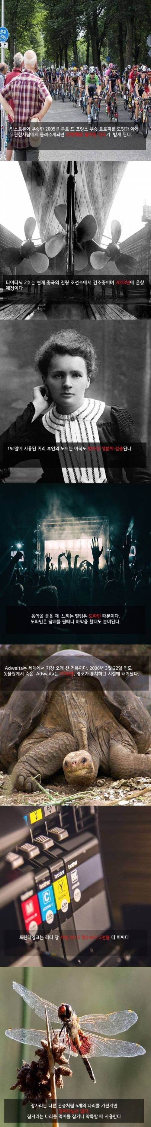 알아봤자 쓸데없는 상식들