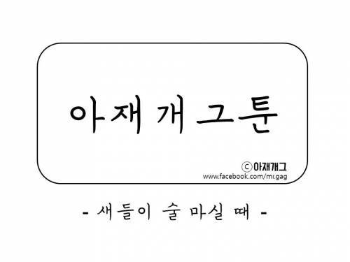 새들이 술마실때.jpg