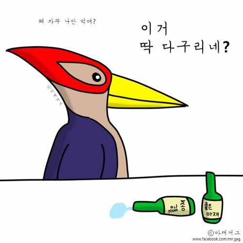 새들이 술마실때.jpg
