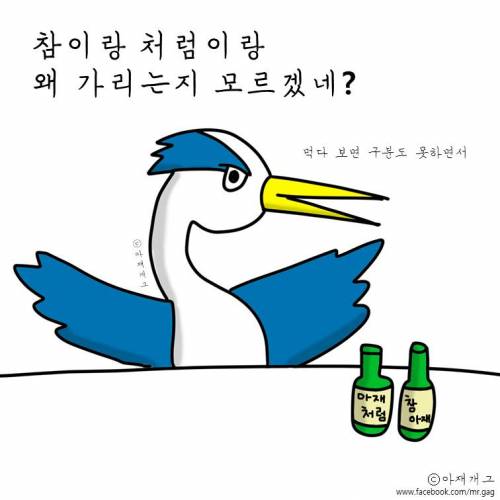 새들이 술마실때.jpg