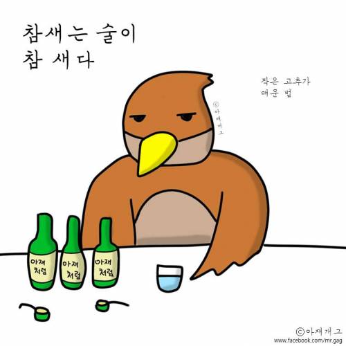 새들이 술마실때.jpg