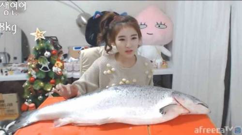 아프리카 TV 먹방 최신 트랜드