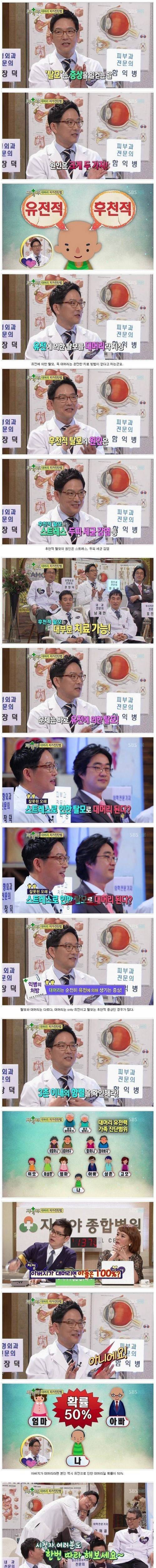 피부과 전문의가 말하는 탈모. jpg