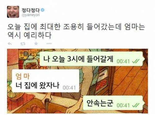 엄마를 속이고 싶은 정다정작가