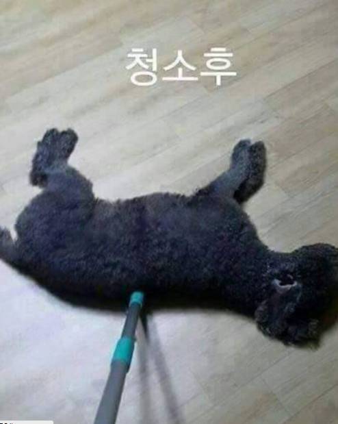 청소전 청소후 .jpg