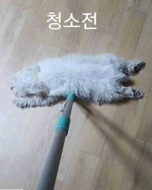 청소전 청소후 .jpg