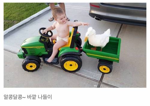 1살 아기와 고아 오리의 아름다운 우정