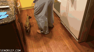 밥 같이먹자.gif