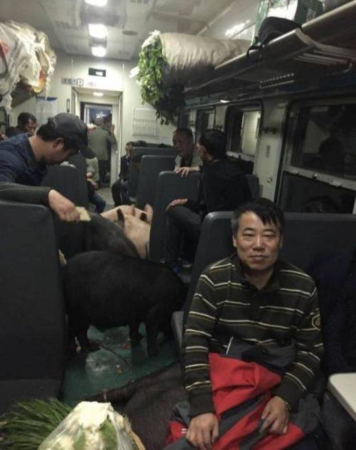대륙의 기차여행.jpg