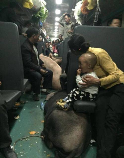 대륙의 기차여행.jpg