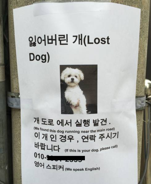 찾는 중 개 주인.jpg