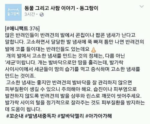 개 발냄새가 고소한 이유