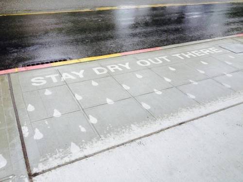 시애틀, 비 오는 날에만 볼 수 있는 거리 미술