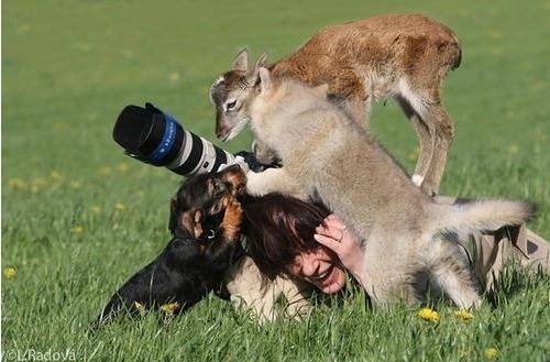 친화력 만렙 사진작가.jpg