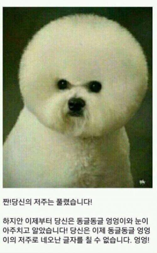 멈뭄미 저주를 풀어드립니다